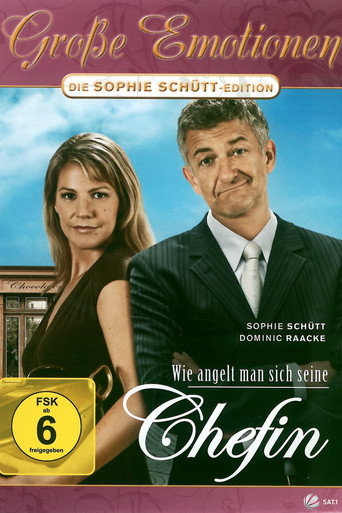 Wie angelt man sich seine Chefin movie poster