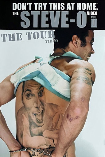 Don't Try This at Home – The Steve-O Video Vol. 2: The Tour movie poster