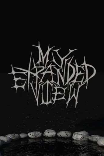 My Expanded View movie poster