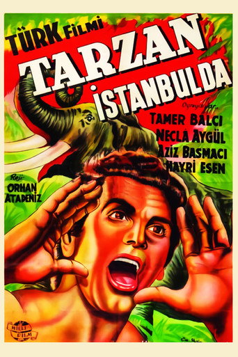 Tarzan in Istanbul movie poster