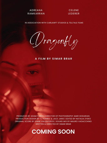 Dragonfly movie poster