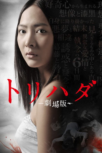 Torihada: The Movie movie poster