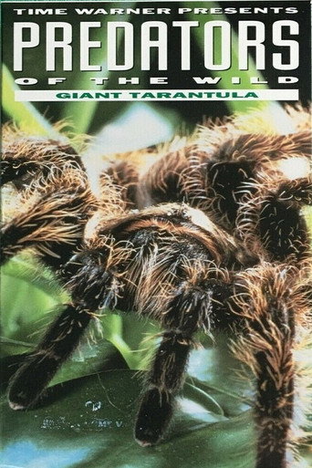 Predators of the Wild: Giant Tarantula movie poster