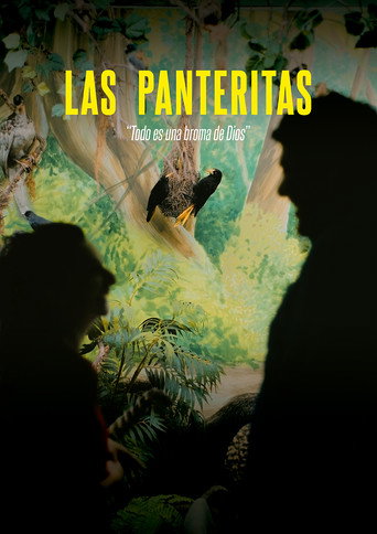 The Little Panthers movie poster
