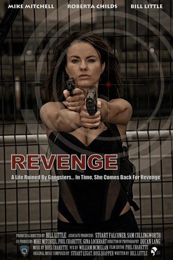 Revenge movie poster