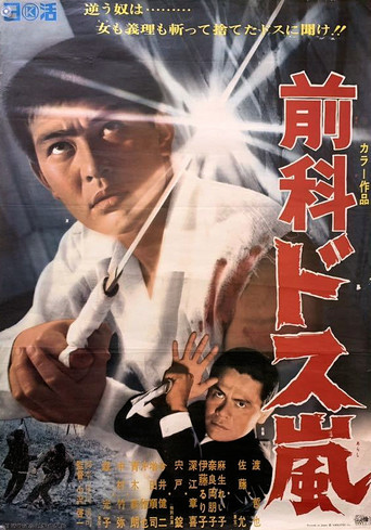 Ex Convict: Sword Storm movie poster