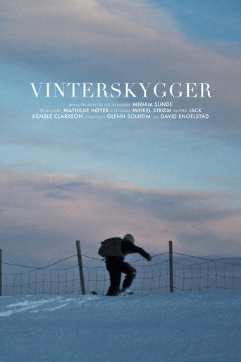 Winter Shadows movie poster