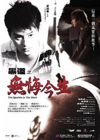 The Sparkle in the Dark movie poster