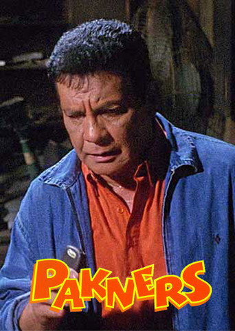 Pakners movie poster