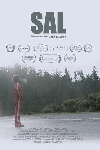 Sal movie poster