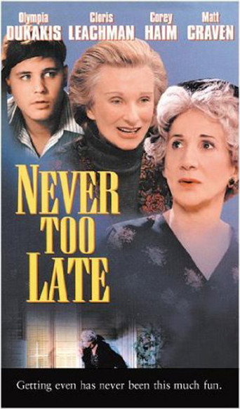 Never Too Late movie poster