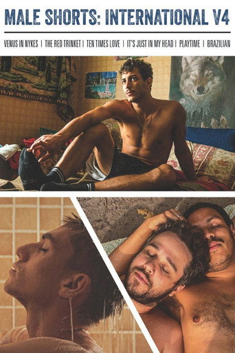 Male Shorts: International V4 movie poster