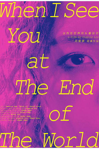 When I See You At The End Of The World movie poster