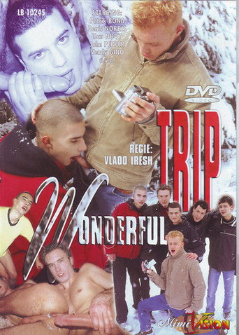 Wonderful Trip movie poster