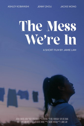 The Mess We're In movie poster