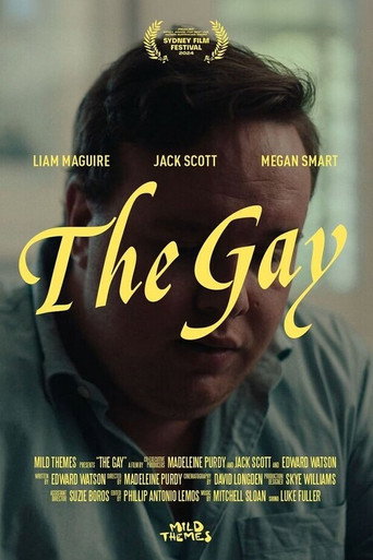 The Gay movie poster