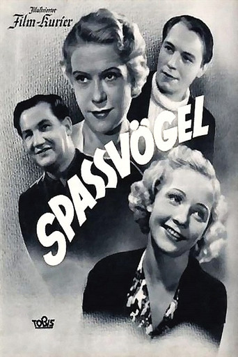 Spaßvögel movie poster
