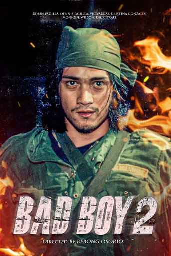 Bad Boy II movie poster