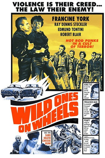 Wild Ones on Wheels movie poster