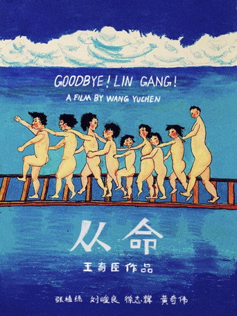 Goodbye! Lin Gang! movie poster