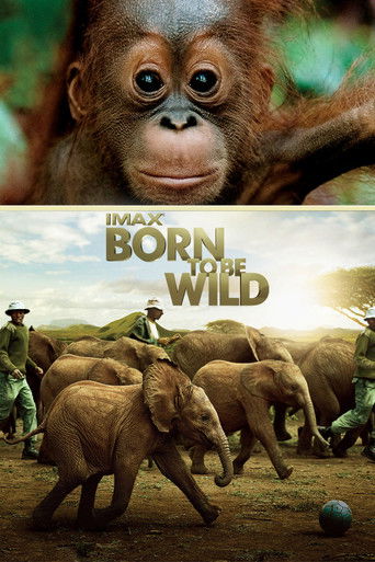 Born to Be Wild movie poster