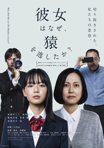 Why Did She Let the Monkeys Loose? movie poster