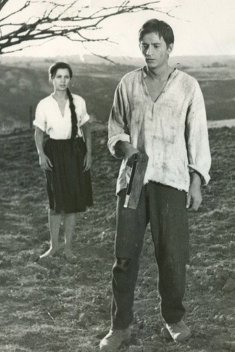 Comoara din Vadul Vechi movie poster