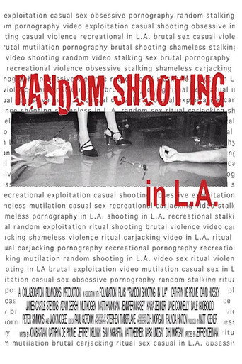 Random Shooting in LA movie poster