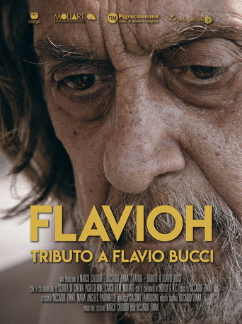 Flavioh - Tributo a Flavio Bucci movie poster