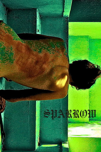 Sparrow movie poster