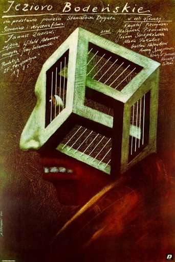 Sons and Comrades movie poster