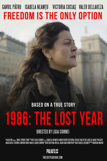The Lost Year 1986 movie poster