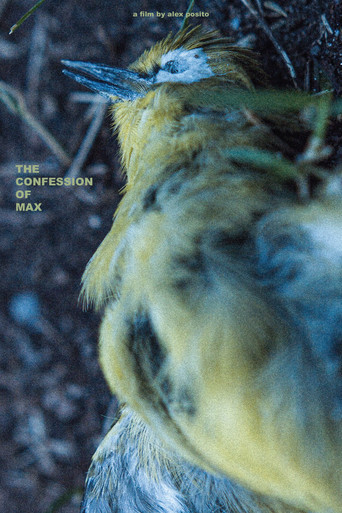 The Confession of Max movie poster