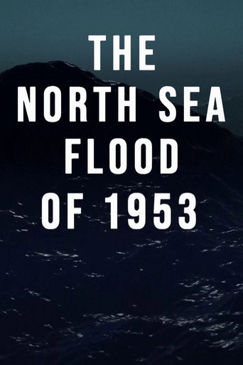 The North Sea Flood of 1953 movie poster