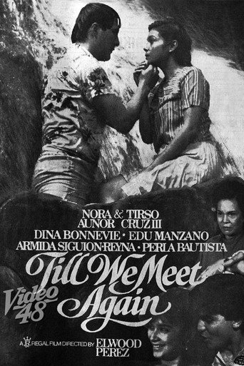 Till We Meet Again movie poster