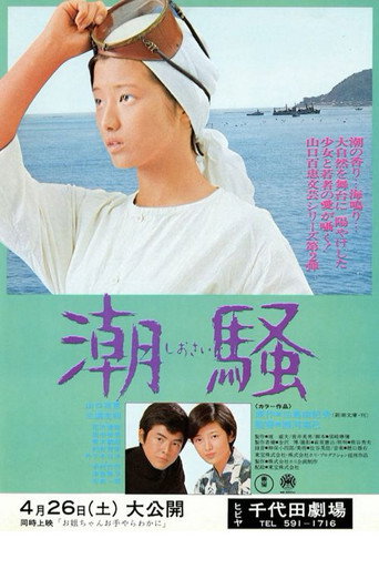The Surf movie poster