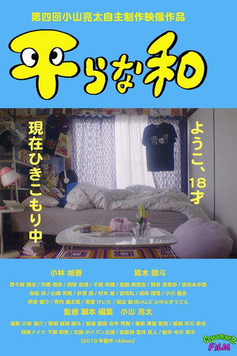 The Flat Sum movie poster