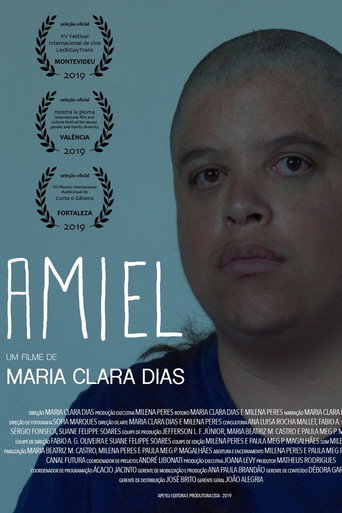 Amiel movie poster