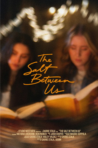 The Salt Between Us movie poster