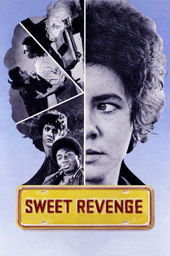 Sweet Revenge movie poster