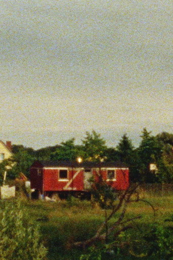 summercycle iv movie poster