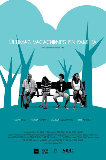 The Last Family Holidays movie poster