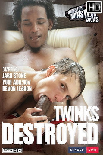 Twinks Destroyed movie poster