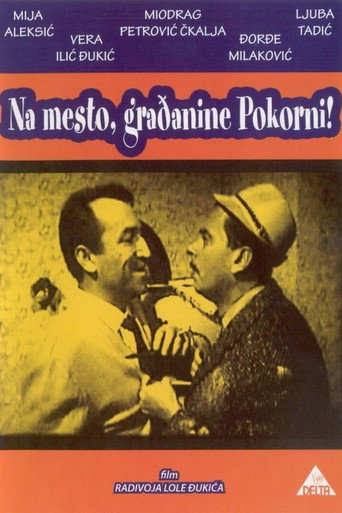 Citizen Pokorni movie poster