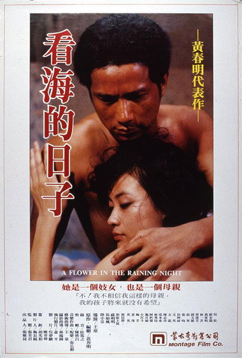 A Flower in the Rainy Night movie poster