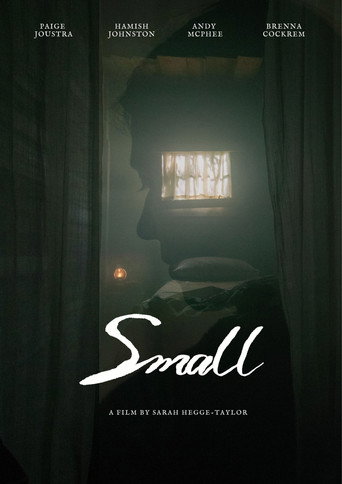 Small movie poster