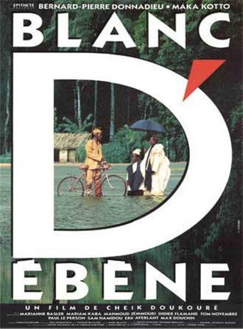 Blanc d'ébène movie poster
