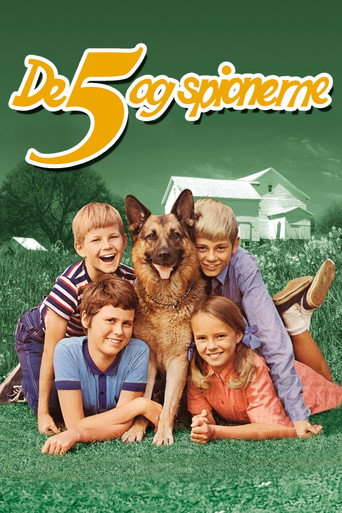 Five and the Spies movie poster