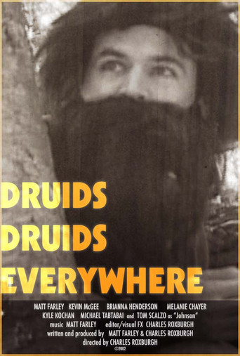 Druids Druids Everywhere movie poster
