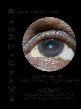 Perspective movie poster